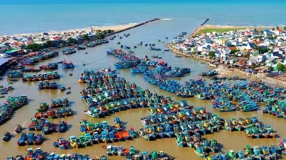 Lam Dong អភិវឌ្ឍសេដ្ឋកិច្ចសមុទ្រប្រកបដោយចីរភាព