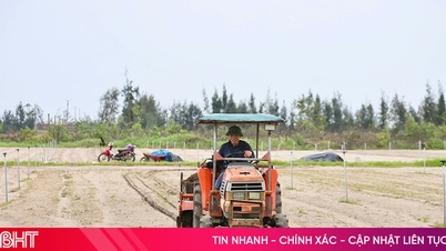 برای تولید محصولات زمستانی، اولویت با ارقام کوتاه‌مدت است.