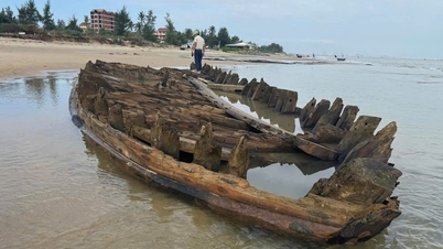 Urgent excavation of ancient ship discovered on Hoi An coast