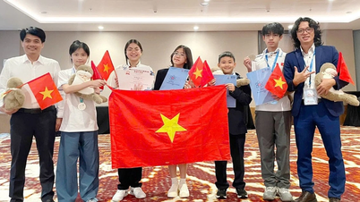 Estudiantes vietnamitas ganan 5 medallas en la Olimpiada Mundial Juvenil de Física