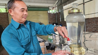 লোক বিন মিষ্টি আলুর মান বাড়ান