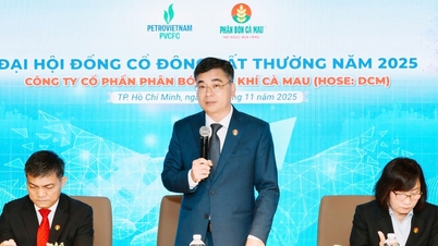 PVCFC, 2025년 임시 주주총회 개최