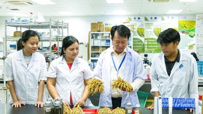 កន្លែងបណ្តុះធនធានមនុស្សប្រកបដោយគុណភាពខ្ពស់សម្រាប់វិស័យកសិកម្មនៅតំបន់ដីសណ្តទន្លេមេគង្គ