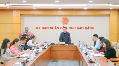 ประธานคณะกรรมการประชาชนจังหวัดเลไห่ฮัวเป็นประธานการประชุมเพื่อดำเนินโครงการเพื่อจัดกิจกรรมต่างๆ เพื่อเฉลิมฉลองครบรอบ 85 ปีที่ลุงโฮเดินทางกลับประเทศ