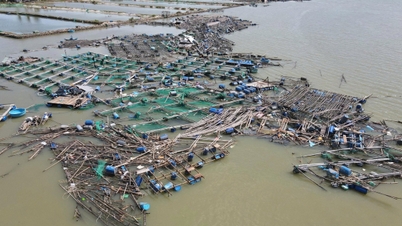 ດັກ​ລັກ ຊີ້​ນຳ​ກ່ຽວ​ກັບ​ການ​ຟື້ນ​ຟູ​ການ​ປະ​ມົງ​ພາຍຫຼັງ​ພະ​ຍຸ​ເລກ 13