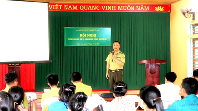 Wdrożenie pilotażowe przyznawania i zarządzania kodami dla obszarów uprawy surowców leśnych w Phuc Loi i Khanh Hoa