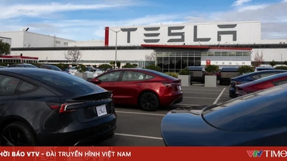 ការលក់របស់ក្រុមហ៊ុន Tesla នៅក្នុងប្រទេសចិនបានឈានដល់កម្រិតទាបក្នុងរយៈពេល 3 ឆ្នាំ។