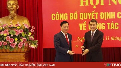 Leder av Hung Yen provinsielle folkekomité Nguyen Khac Than har stillingen som sekretær for Nghe An provinsielle partikomité