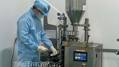 황무지를 약초밭으로 만든 남자