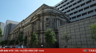Bank of Japan kan komma att höja räntorna i december