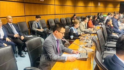 Το Βιετνάμ δεσμεύεται για έναν κόσμο χωρίς δοκιμές πυρηνικών όπλων