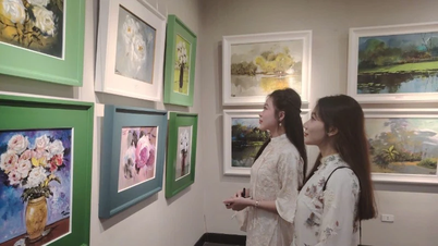 「カントリーカラーズ7」は大衆を征服する旅を続ける