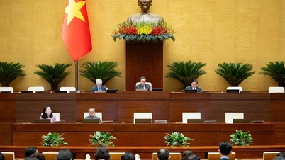 Запропонувати голові народного комітету громади приймати громадян щонайменше 2 дні на місяць