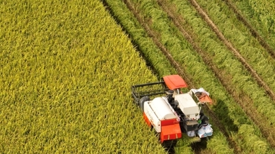 80-Jahr-Meilenstein: Vietnamesische Agrarprodukte erreichen im grünen Zeitalter die Welt.