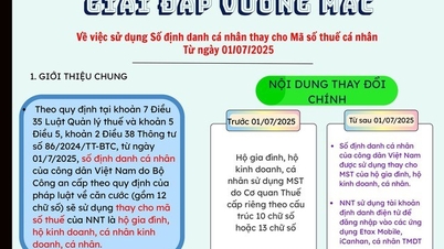 ຮອງຮັບການໃຊ້ໝາຍເລກ IDENTIFICATION ສ່ວນຕົວແທນ TAX CODE