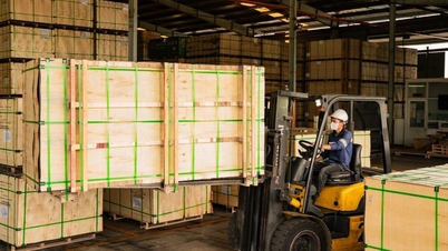 Vietnam har som mål å erstatte Kina i treforsyningskjeden