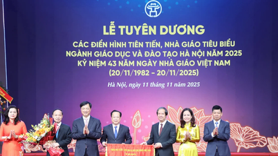 បញ្ជាក់ពីតួនាទីនាំមុខ និងត្រួសត្រាយរបស់គ្រូបង្រៀនរាជធានី