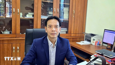 មតិយោបល់លើឯកសារ៖ ត្រូវការធ្វើឱ្យគំរូវេជ្ជសាស្រ្តល្អឥតខ្ចោះនៅក្នុងសួនឧស្សាហកម្ម និងតំបន់កែច្នៃនាំចេញ