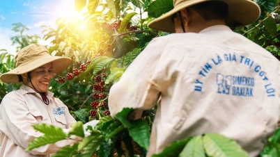 "ព្យុះកំបុតត្បូង" នៃវិក្កយបត្រ និងការឈឺក្បាលនៃការរស់រានមានជីវិតនៃផលិតផលកសិកម្មវៀតណាម