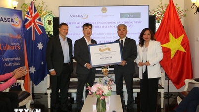 آسٹریلیا میں ویت نامی باشندے ملک میں سیلاب زدگان کے ساتھ اشتراک کے لیے ہاتھ جوڑ رہے ہیں۔