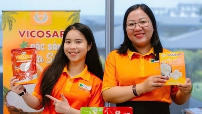 স্থানীয় বিশেষত্ব থেকে বিশ্বব্যাপী ব্র্যান্ড: VICOSAP-এর সৃজনশীল যাত্রা