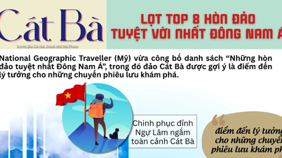 ค้นพบประสบการณ์มหัศจรรย์ที่ไม่มีวันลืมในเกาะกั๊ตบา