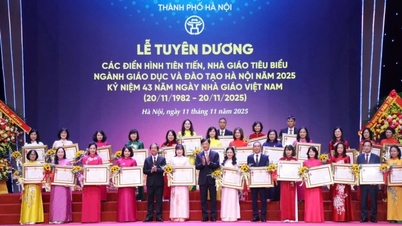 El secretario de Hanoi promete resolver rápidamente todas las peticiones de los profesores.