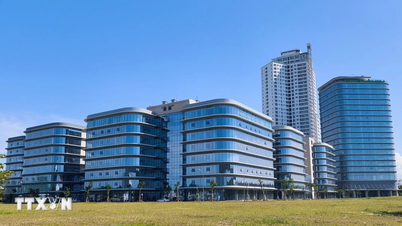 Da Nang investit plus de 200 milliards de VND dans le développement de la conception de puces semi-conductrices et de l'IA