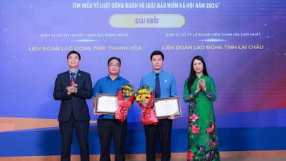 Cérémonie de remise des prix du concours en ligne sur le droit des syndicats et le droit de la sécurité sociale en 2024