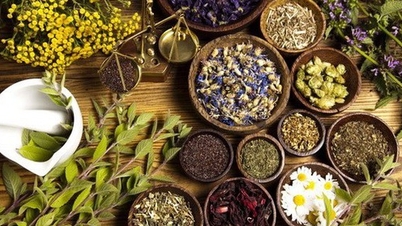 Rozvoj farmaceutického průmyslu: Zlepšení soběstačnosti v oblasti farmaceutických složek