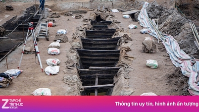 Времена, когда древние корабли поднимались из-под земли во Вьетнаме