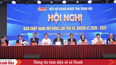 Đại hội đại biểu Hiệp hội Doanh nghiệp tỉnh Thanh Hóa dự kiến diễn ra vào tháng 12/2025
