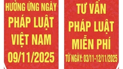 Tư vấn pháp luật miễn phí hưởng ứng Ngày Pháp luật Việt Nam 09/11