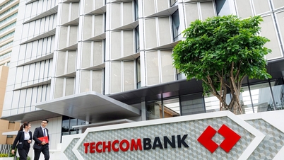 Fitch Ratings lần đầu xếp hạng tín nhiệm Techcombank với “Triển vọng tích cực”, nhấn mạnh năng lực vốn vững mạnh, quản trị rủi ro hiệu quả và chiến lược tăng trưởng bền vững