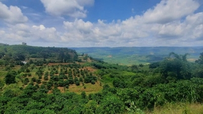 ລຳ​ດົງ​ອະນຸມັດ​ໂຄງການ​ສູນ​ຜະລິດ ​ແລະ ປຸງ​ແຕ່ງ​ກະ​ເສດ 480 ຕື້​ດົ່ງ