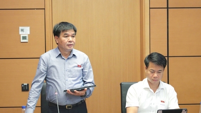 សេចក្តីព្រាងច្បាប់ស្តីពីការវិនិយោគ (ធ្វើវិសោធនកម្ម)៖ ពិនិត្យដោយប្រុងប្រយ័ត្ននូវគោលការណ៍នៃការកាត់ផ្តាច់ខ្សែអាជីវកម្ម និងមុខរបរតាមលក្ខខណ្ឌ