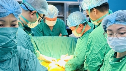 Eerste succesvolle twee longtransplantaties op één dag