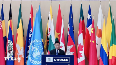 Dışişleri Bakan Yardımcısı Ngo Le Van, UNESCO Vietnam Ulusal Komisyonu Başkanı olarak atandı