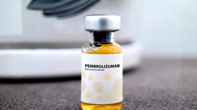 Russisch medicijn tegen kanker krijgt vergunning voor distributie in Vietnam