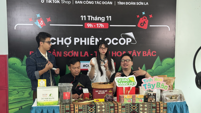យុវជននៅតាមជនបទ ជំនាញឌីជីថល ដើម្បីនាំយកផលិតផល OCOP បន្ថែមទៀត