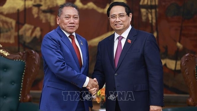 Thủ tướng Phạm Minh Chính tiếp Bộ trưởng Ngoại giao và Ngoại thương Quần đảo Solomon