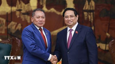 Salomonöarna vill importera ris och råvaror från Vietnam