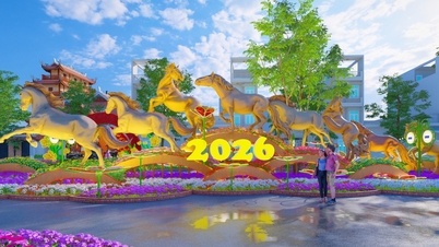 Jangan gunakan anggaran untuk membangun jalan bunga seni Can Tho 2026