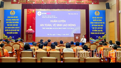 বিদ্যুৎ শিল্পের ৬৫০ জনেরও বেশি কর্মকর্তা ও কর্মচারীর জন্য পেশাগত নিরাপত্তা ও স্বাস্থ্য প্রশিক্ষণ