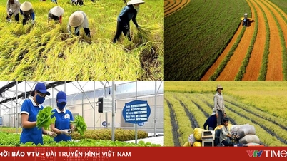 80 ឆ្នាំនៃកសិកម្មវៀតណាម: ពីវាលកិច្ចសន្យាគ្រួសារទៅជាកសិកម្មឌីជីថល