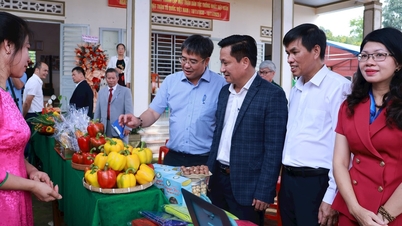 ទិវាឯកភាពជាតិដ៏អស្ចារ្យនៅភូមិ Tien Tien