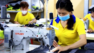 ការបន្ថែមប្រាក់ឈ្នួលអប្បបរមាសម្រាប់ការរស់នៅសមរម្យសម្រាប់ដំណាក់កាលអភិវឌ្ឍន៍ថ្មី។