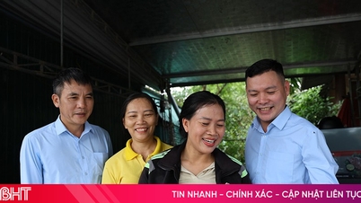 Asuransi Sosial Ha Tinh bertekad mencapai tujuan jaminan sosial bagi seluruh rakyat