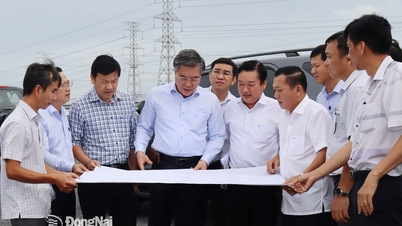 דונג נאי מפנה בדחיפות קרקע עבור פרויקטים לאומיים של אנרגיה