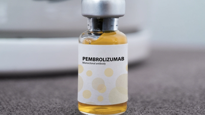 តើថ្នាំរុស្ស៊ី Pembroria ត្រូវបានចង្អុលបង្ហាញសម្រាប់ជំងឺមហារីកប្រភេទណា?